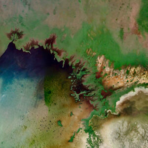 Fantasy Tree On A Hill