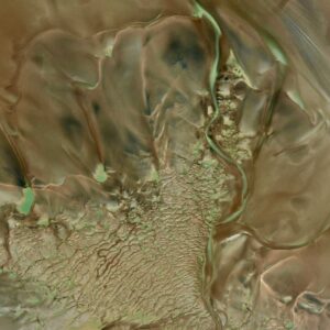 Color Of Money/Ripple