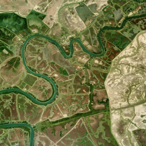 Wiggle Through The Sections